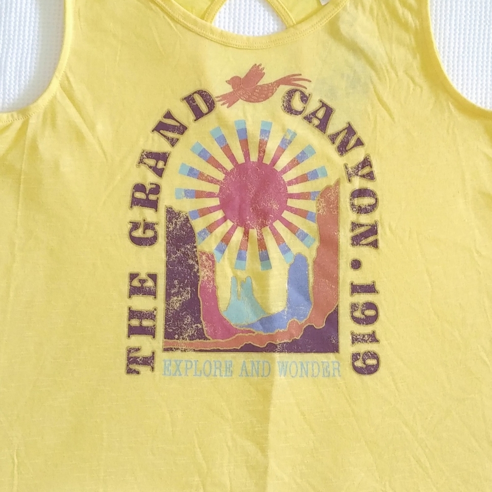 TRU Self "The Grand Canyon 1919" Swing Tank - Picture 7 of 13